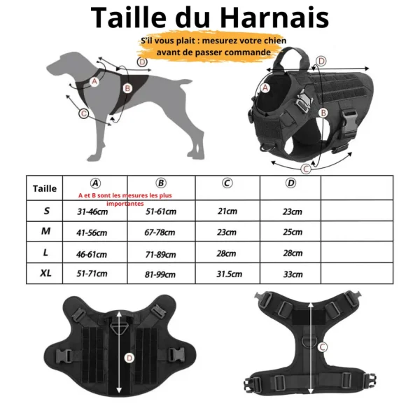 choisir la taille du harnais