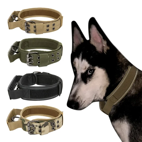 Collier large militaire avec poignée pour chiens – robuste et ajustable pour un meilleur contrôle