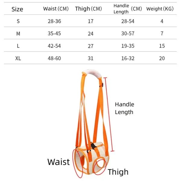 Harnais pour chien handicapé des pattes arrières – soutien ergonomique et ajustable pour une meilleure mobilité – Image 6