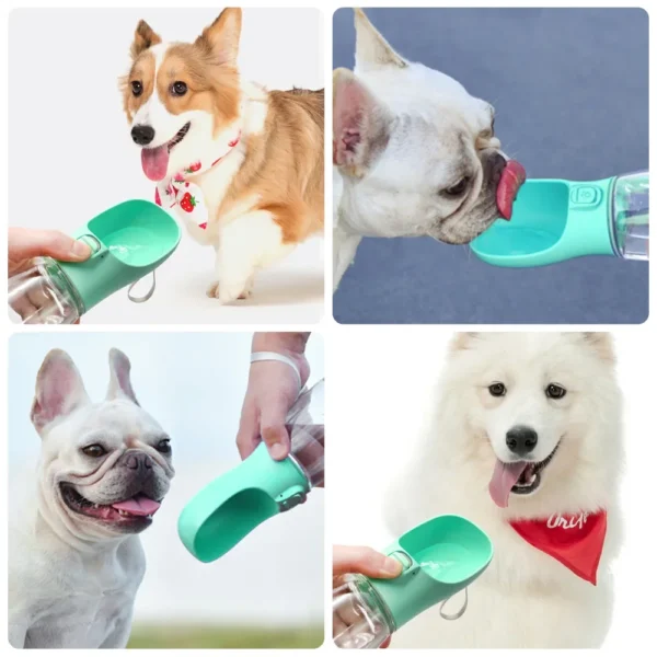 Bouteille d'eau portable pour chien – accessoire ergonomique et pratique pour l'hydratation en balade – Image 6