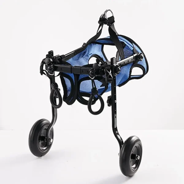 Chariot pour chien de petite taille handicapé des pattes arrières - aide à la mobilité et au confort