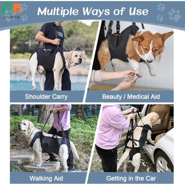 Harnais pour chien à mobilité réduite ou handicapé - Confort et soutien pour tous les besoins de mobilité – Image 6