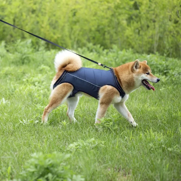 Harnais pour aide à la mobilité du chien âgé et handicapé : confort et soutien ergonomique – Image 12