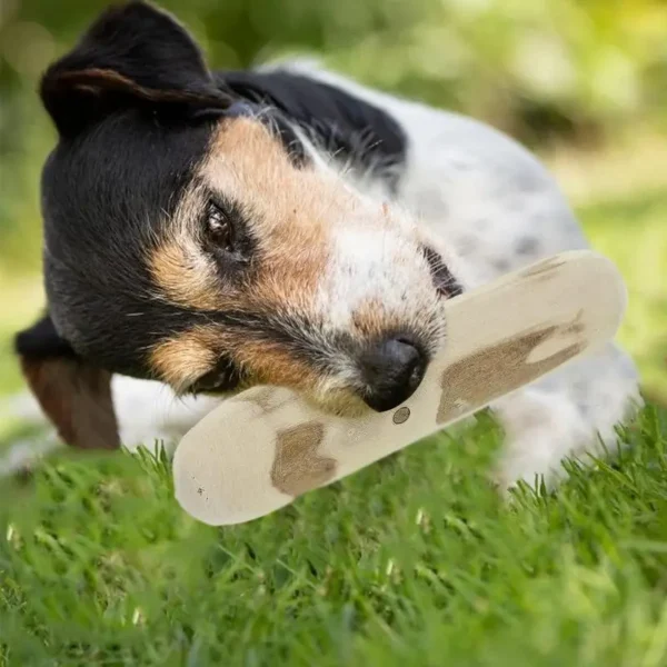 Bois de caféier 10cm pour chien : jouet à mâcher naturel et durable pour santé dentaire et satisfaction instinctuelle – Image 3