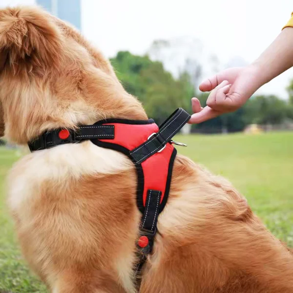 Harnais en T pour chien : confort et contrôle pour toutes les tailles et races – Image 3