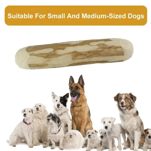 Bois de caféier 10cm pour chien : jouet à mâcher naturel et durable pour santé dentaire et satisfaction instinctuelle – Image 2