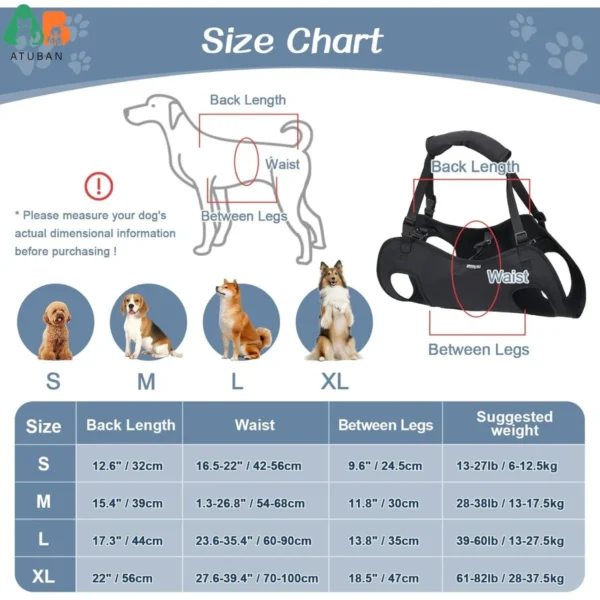 Harnais pour chien à mobilité réduite ou handicapé - Confort et soutien pour tous les besoins de mobilité – Image 2