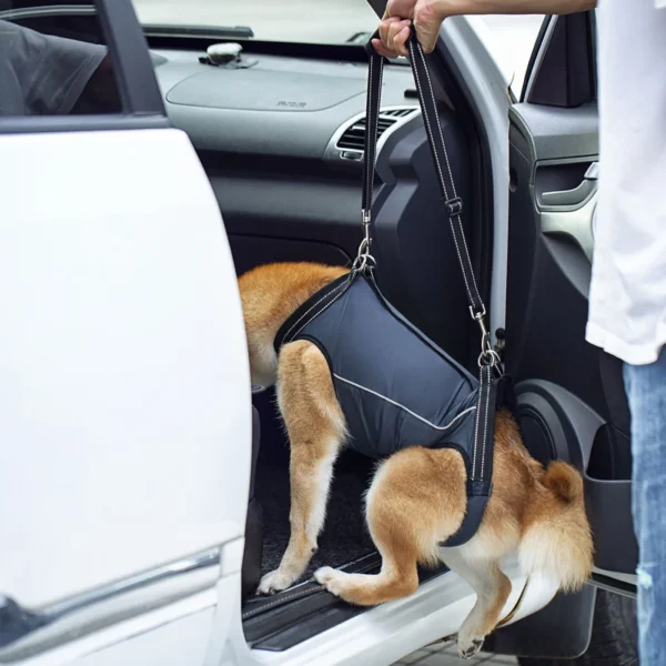 Harnais pour aide à la mobilité du chien âgé et handicapé : confort et soutien ergonomique – Image 13