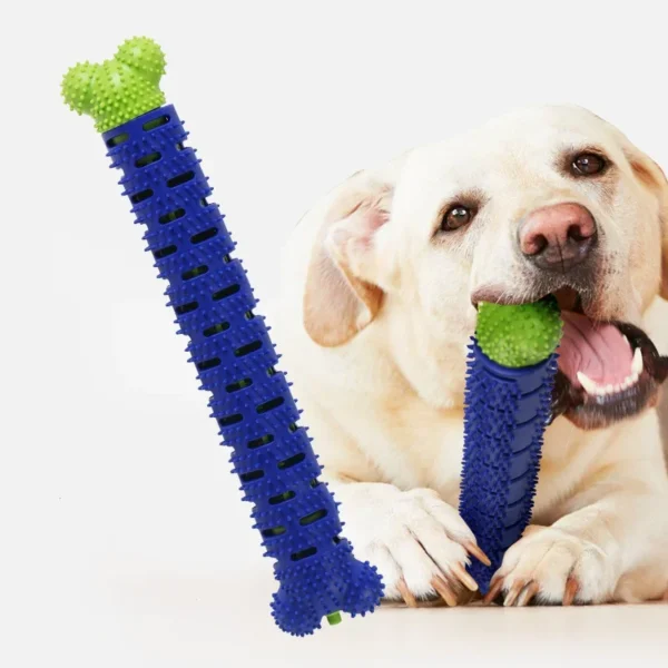 Stick brosse à dent pour chien - hygiène dentaire et bien-être canin