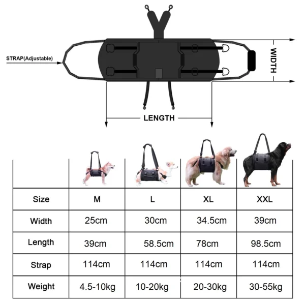 Harnais de treuillage pour chien pour améliorer la mobilité et le confort des chiens en réhabilitation – Image 6