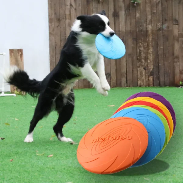 Frisbee ultra résistant aux morsures pour chien : jouet durable et sûr pour des jeux interactifs