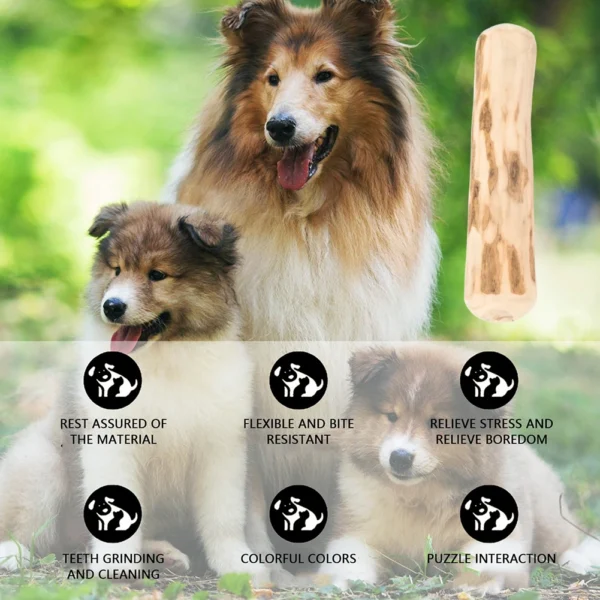 Bois de caféier à mastiquer pour chien – Jouet durable pour la santé dentaire et le bien-être de votre animal – Image 2