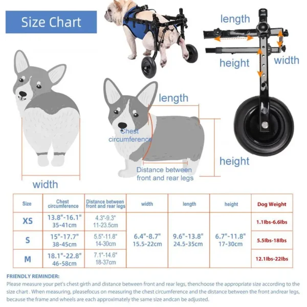 Chariot pour chien de petite taille handicapé des pattes arrières - aide à la mobilité et au confort – Image 6