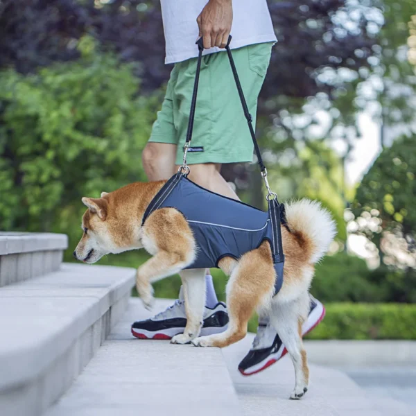 Harnais pour aide à la mobilité du chien âgé et handicapé : confort et soutien ergonomique – Image 14